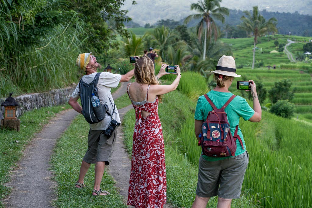 Rice Paddy Trekking Village