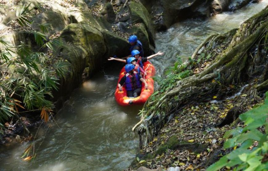 Amazing Adventure Tour