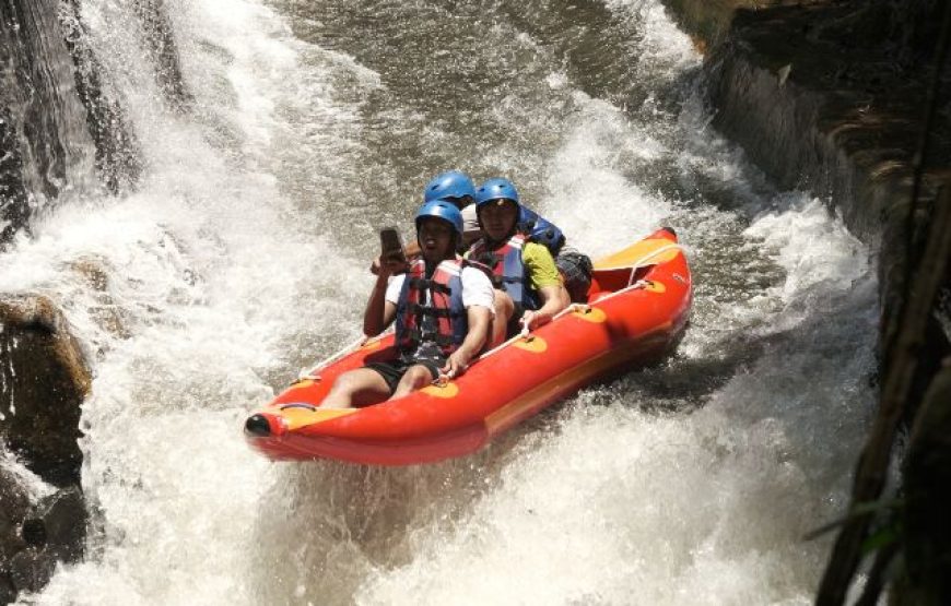 Amazing Adventure Tour