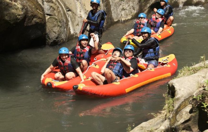 Amazing Adventure Tour