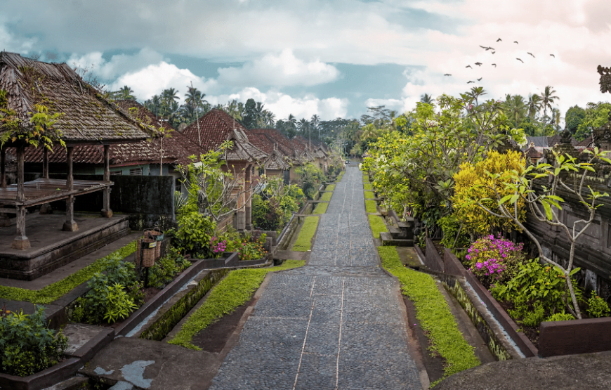 Back to The Village Tour