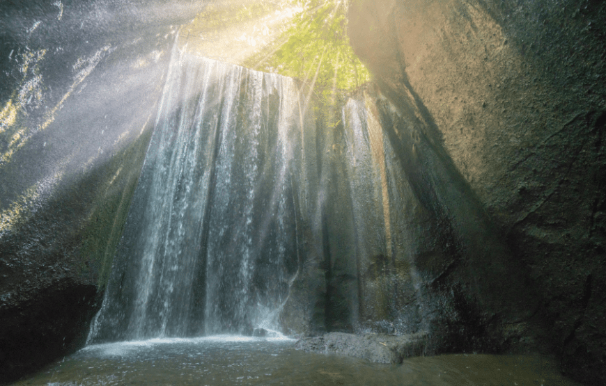 Back to The Village Tour